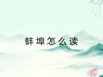 蚌埠怎么读