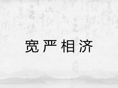 宽严相济