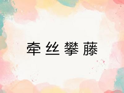 牵丝攀藤 牵丝攀藤