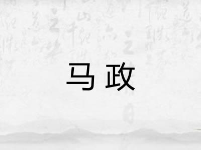 马政 马政