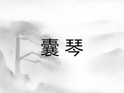 囊琴