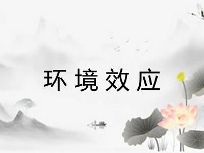 环境效应