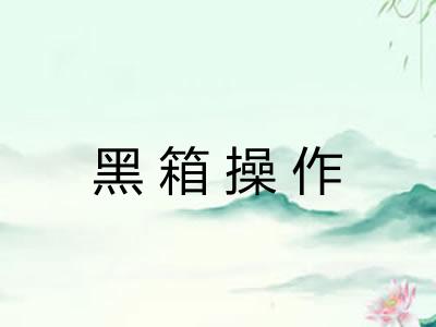 黑箱操作