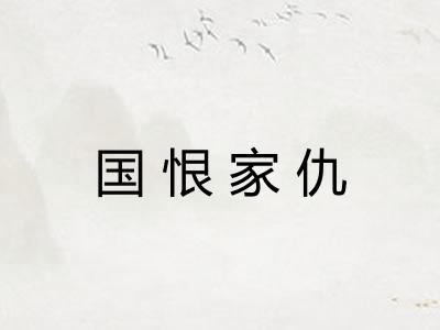 国恨家仇