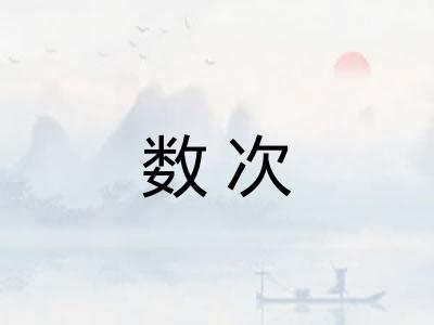 数次
