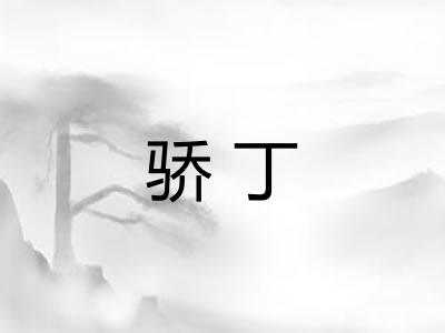 骄丁