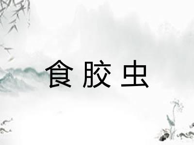 食胶虫