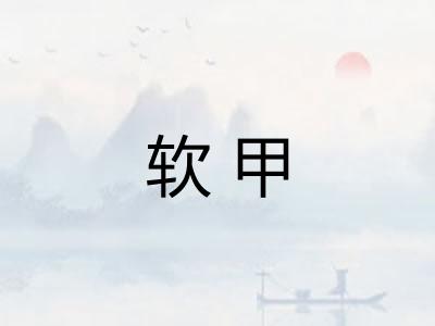 软甲