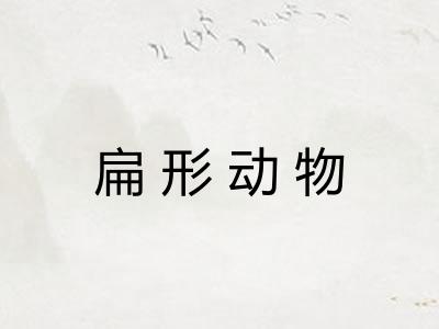 扁形动物