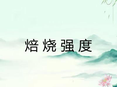 焙烧强度