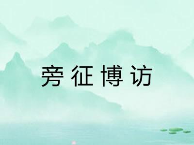 旁征博访 旁征博访