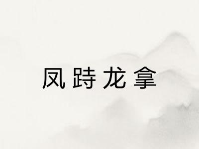 凤跱龙拿 凤跱龙拿