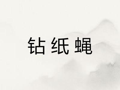 钻纸蝇