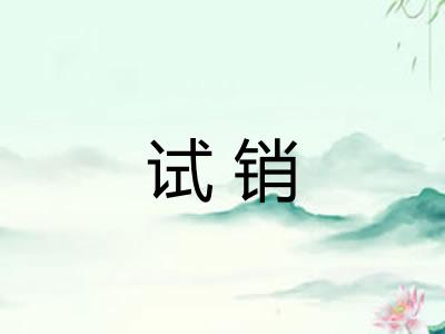 试销