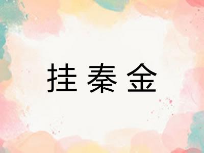 挂秦金