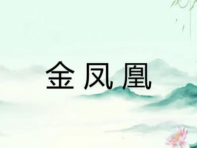 金凤凰