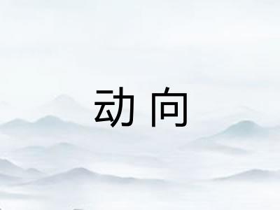 动向 动向