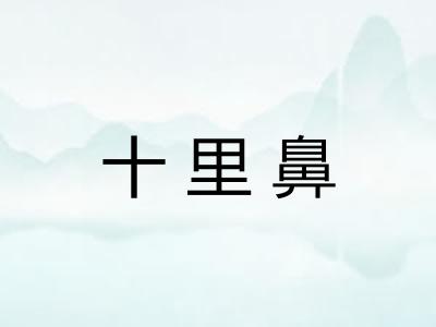 十里鼻 十里鼻