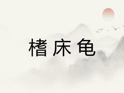 榰床龟 榰床龟