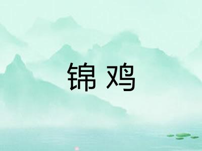 锦鸡
