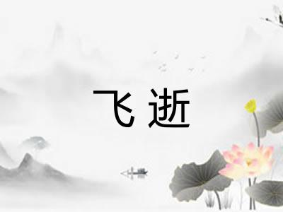 飞逝 飞逝