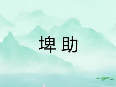 埤助