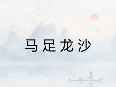 马足龙沙