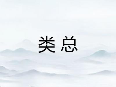 类总
