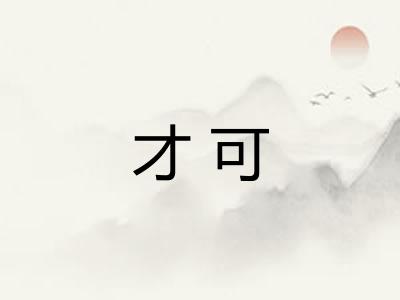 才可