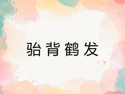 骀背鹤发
