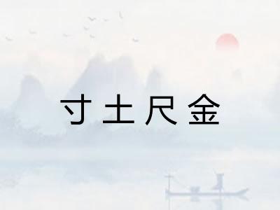 寸土尺金