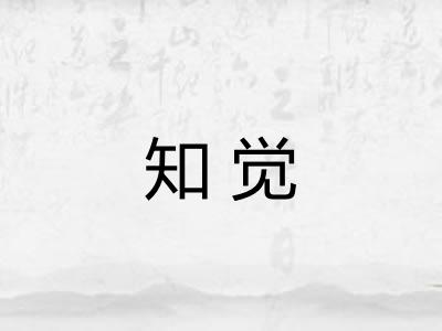 知觉 知觉