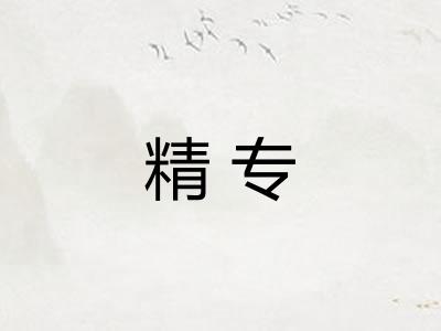 精专