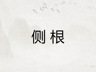 侧根