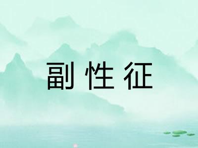 副性征