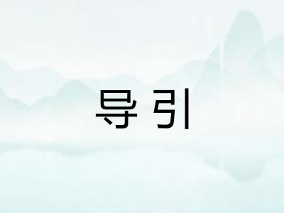 导引 导引