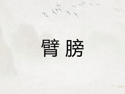 臂膀