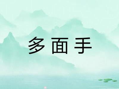 多面手