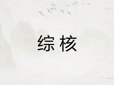 综核
