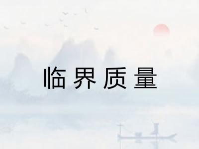 临界质量