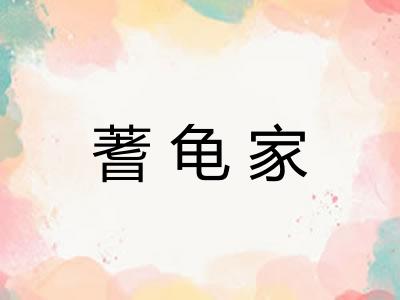 蓍龟家