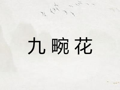 九畹花