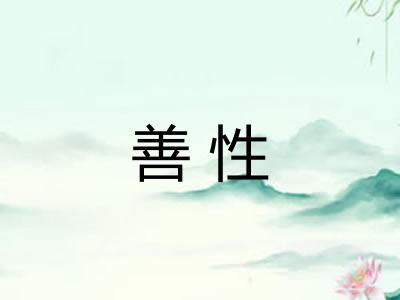 善性