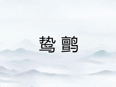 鸷鹯