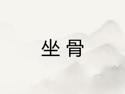坐骨 坐骨