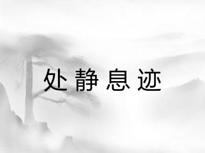 处静息迹