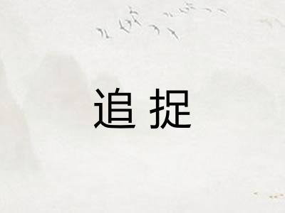 追捉