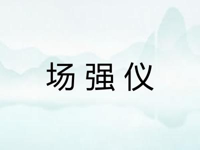 场强仪