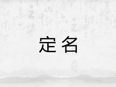 定名