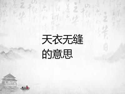 天衣无缝的意思
